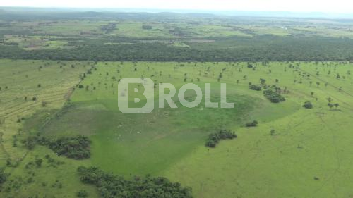 Mato Grosso do Sul MS Área Rural Agricultura
