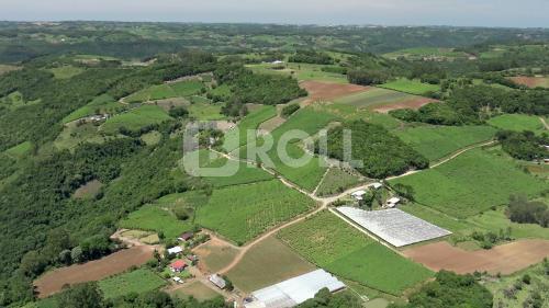 Nova Roma do Sul Rio Grande do Sul RS 2019