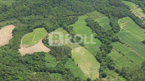 Paraíso do Sul Rio Grande do Sul RS 2019