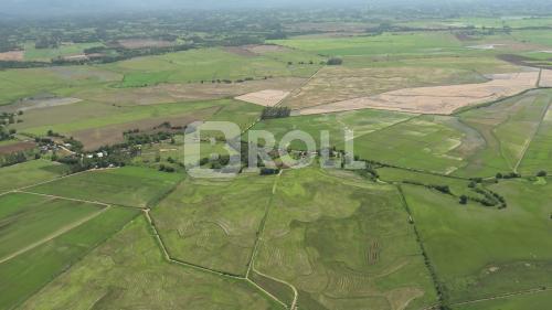 Paraíso do Sul Rio Grande do Sul RS 2019