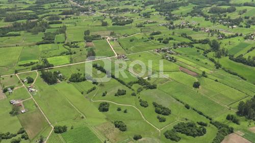Paraíso do Sul Rio Grande do Sul RS 2019