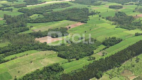 Paraíso do Sul Rio Grande do Sul RS 2019