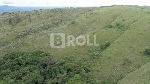 Parque Nacional da Serra da Canastra São Roque de Minas Minas Gerais MG