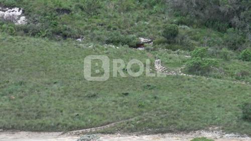 Parque Nacional da Serra da Canastra São Roque de Minas Minas Gerais MG