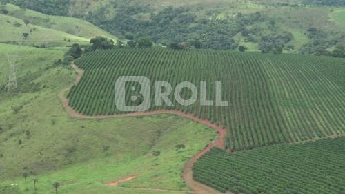 Parque Nacional da Serra da Canastra São Roque de Minas Minas Gerais MG