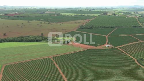 Parque Nacional da Serra da Canastra São Roque de Minas Minas Gerais MG