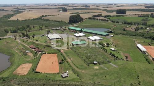 Passo Fundo Rio Grande do Sul RS 2019