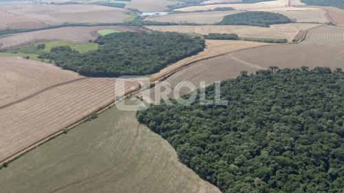 Passo Fundo Rio Grande do Sul RS 2019