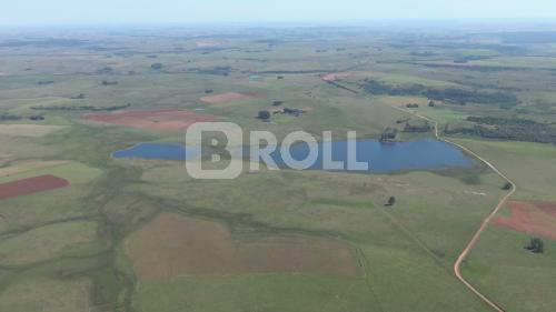 Passo Novo Alegrete Rio Grande do Sul RS