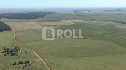 Passo Novo Alegrete Rio Grande do Sul RS