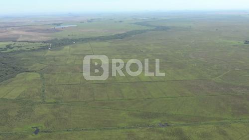 Passo Novo Alegrete Rio Grande do Sul RS