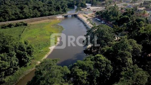 Peixe-Boi Pará PA 2019