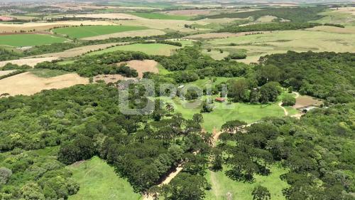 Ponta Grossa Itaiacoca Paraná PR