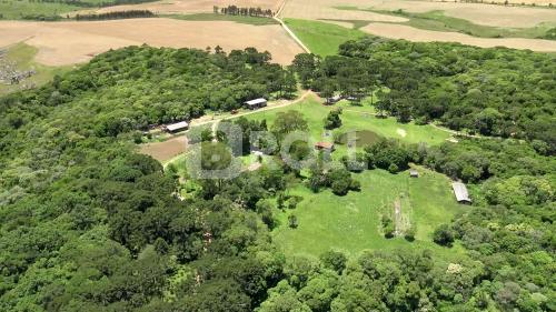 Ponta Grossa Itaiacoca Paraná PR