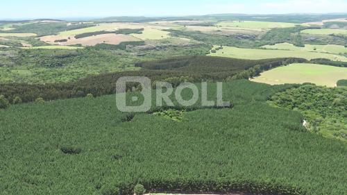 Ponta Grossa Itaiacoca Paraná PR
