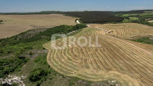 Ponta Grossa Paraná PR 2018