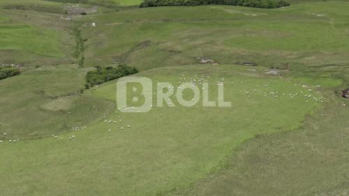 Ponta Grossa Paraná PR 2018