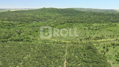 Ponta Grossa Paraná PR 2018