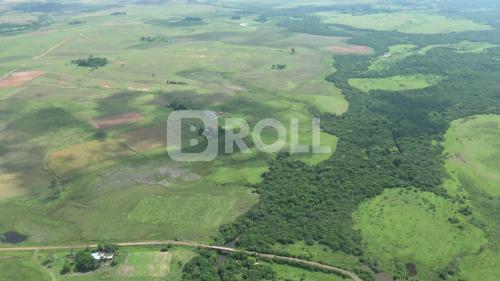 Quaraí Rio Grande do Sul RS 2019