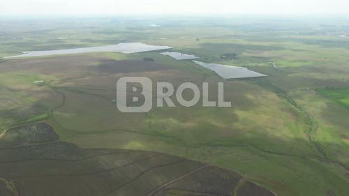 Quaraí Rio Grande do Sul RS 2019