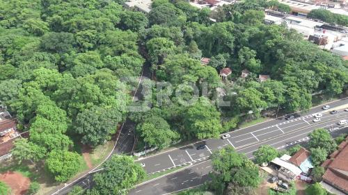 Ribeirão Preto São Paulo SP 2018