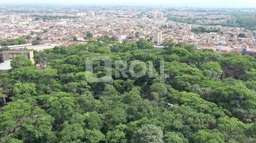 Ribeirão Preto São Paulo SP 2018