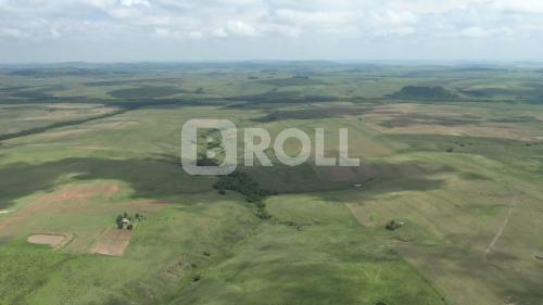 Rosário do Sul Rio Grande do Sul RS 2019