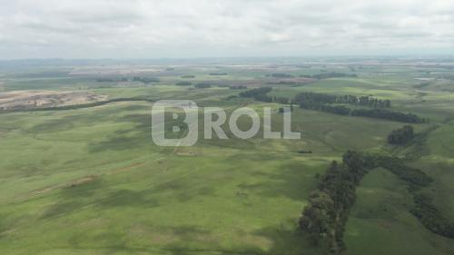 Rosário do Sul Rio Grande do Sul RS 2019