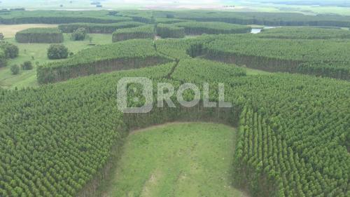 Rosário do Sul Rio Grande do Sul RS 2019