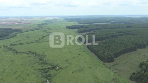 Rosário do Sul Rio Grande do Sul RS 2019