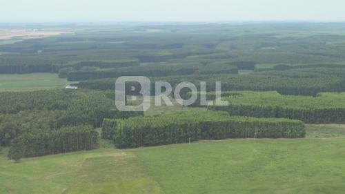Rosário do Sul Rio Grande do Sul RS 2019