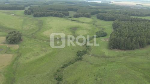 Rosário do Sul Rio Grande do Sul RS 2019