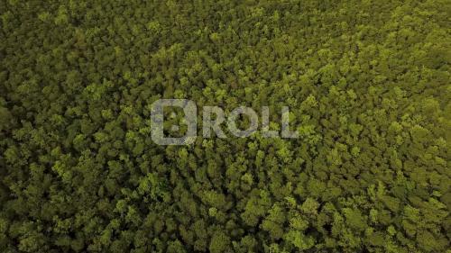 São Caetano de Odivelas Curuçá Pará PA