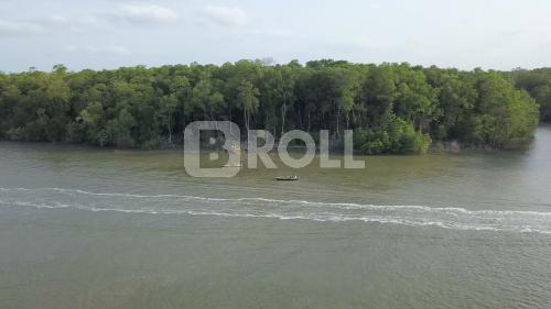 São Caetano de Odivelas Pará PA Amazônia