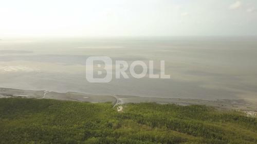 São Caetano de Odivelas Pará PA Amazônia