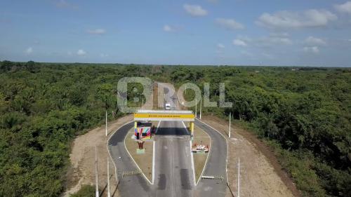 São Caetano de Odivelas Pará PA Amazônia