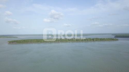 São Caetano de Odivelas Pará PA Amazônia