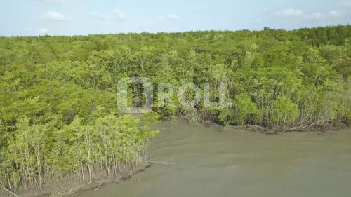 São Caetano de Odivelas Pará PA Amazônia
