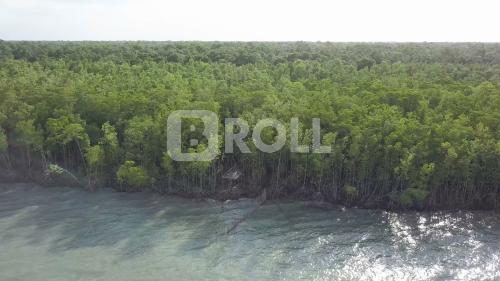 São Caetano de Odivelas Pará PA Amazônia