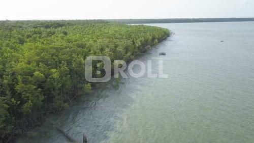São Caetano de Odivelas Pará PA Amazônia