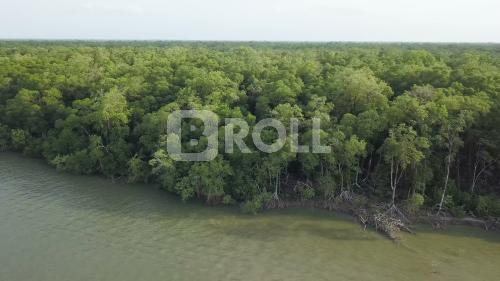 São Caetano de Odivelas Pará PA Amazônia