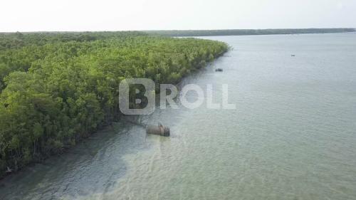 São Caetano de Odivelas Pará PA Amazônia