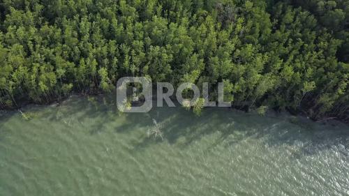 São Caetano de Odivelas Pará PA Amazônia