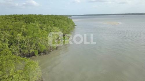 São Caetano de Odivelas Pará PA Amazônia