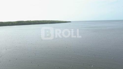 São Caetano de Odivelas Pará PA Amazônia