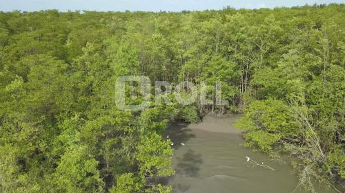 São Caetano de Odivelas Pará PA Amazônia