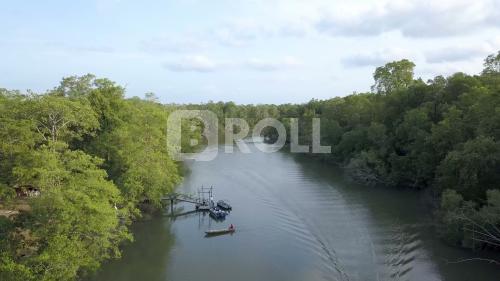 São Caetano de Odivelas Pará PA Amazônia