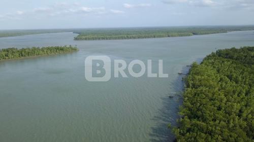 São Caetano de Odivelas Pará PA Amazônia