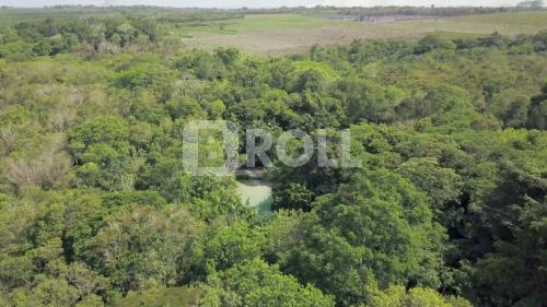 São Francisco do Pará Pará PA 2019
