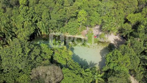 São Francisco do Pará Pará PA 2019